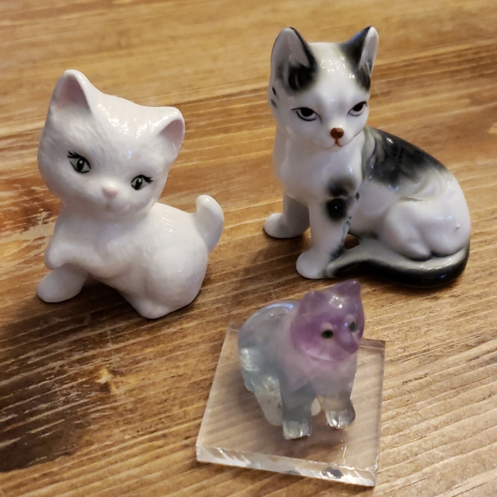 Adorable Cat Trio